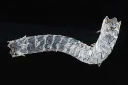 GORE VIABIL Biliary Endoprosthesis