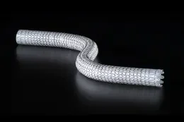 GORE VIABAHN Endoprosthesis