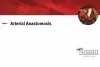 GORE ACUSEAL Vascular Graft