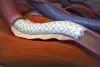 GORE VIABAHN VBX Balloon Expandable Endoprosthesis