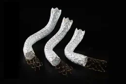 GORE VIATORR TIPS Endoprosthesis