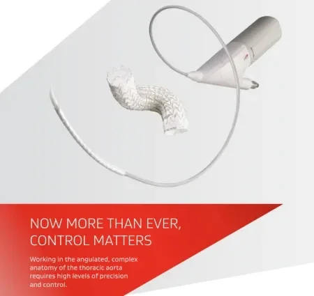 brochure thumbnail
