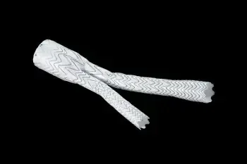 Vascular medical device