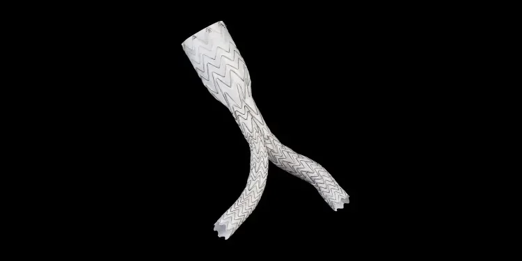 GORE EXCLUDER AAA Endoprosthesis