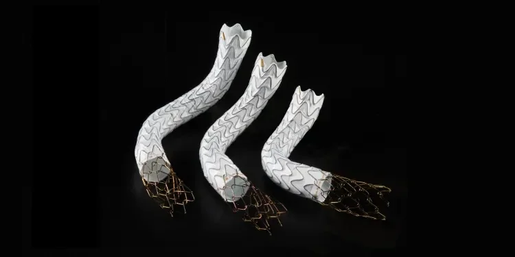 GORE VIATORR TIPS Endoprosthesis