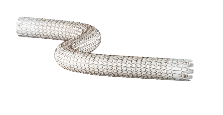 GORE® VIABAHN® Endoprosthesis