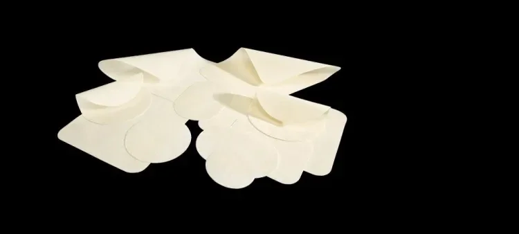 GORE® SYNECOR Preperitoneal Biomaterial Products