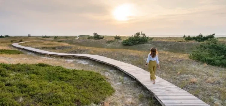 Woman walking on a wooden dock on a field towards a sunrise.