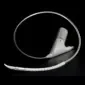 GORE TAG Conformable Thoracic Stent Graft