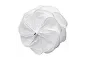 GORE® CARDIOFORM ASD Occluder