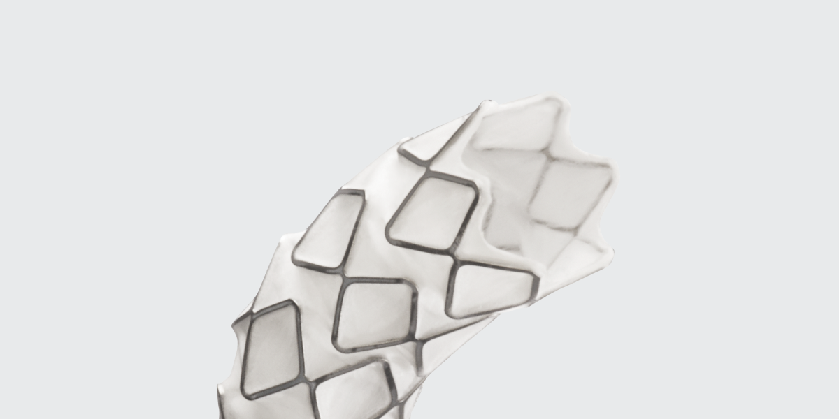 VBX-02772-FNL-OL-1