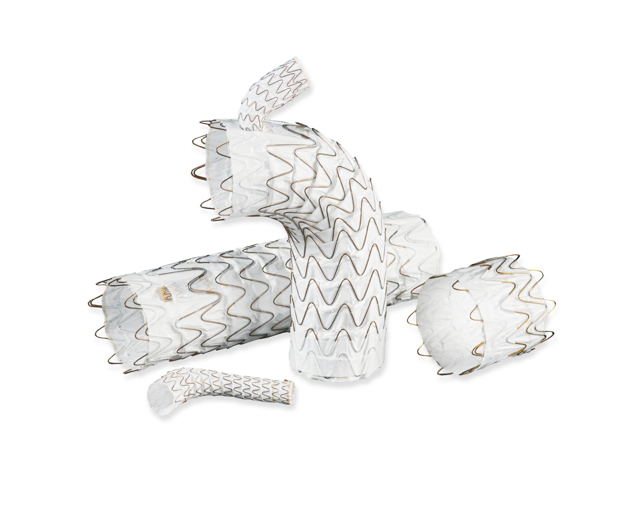 GORE® TAG® Thoracic Branch Endoprosthesis