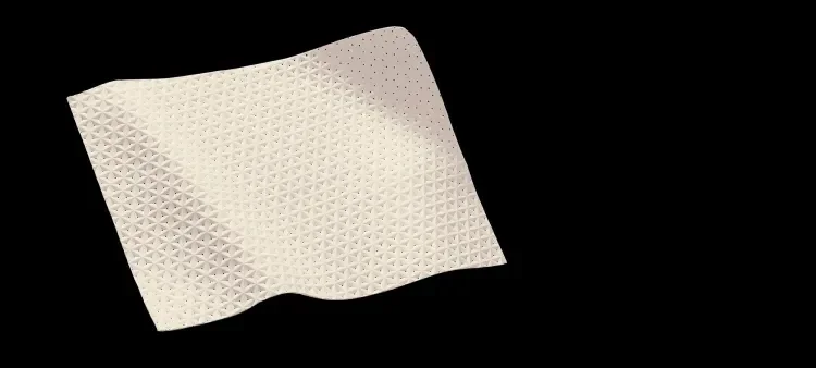 GORE MYCROMESH PLUS Biomaterial