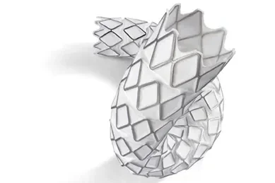 VBX Stent Graft