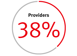38% Providers