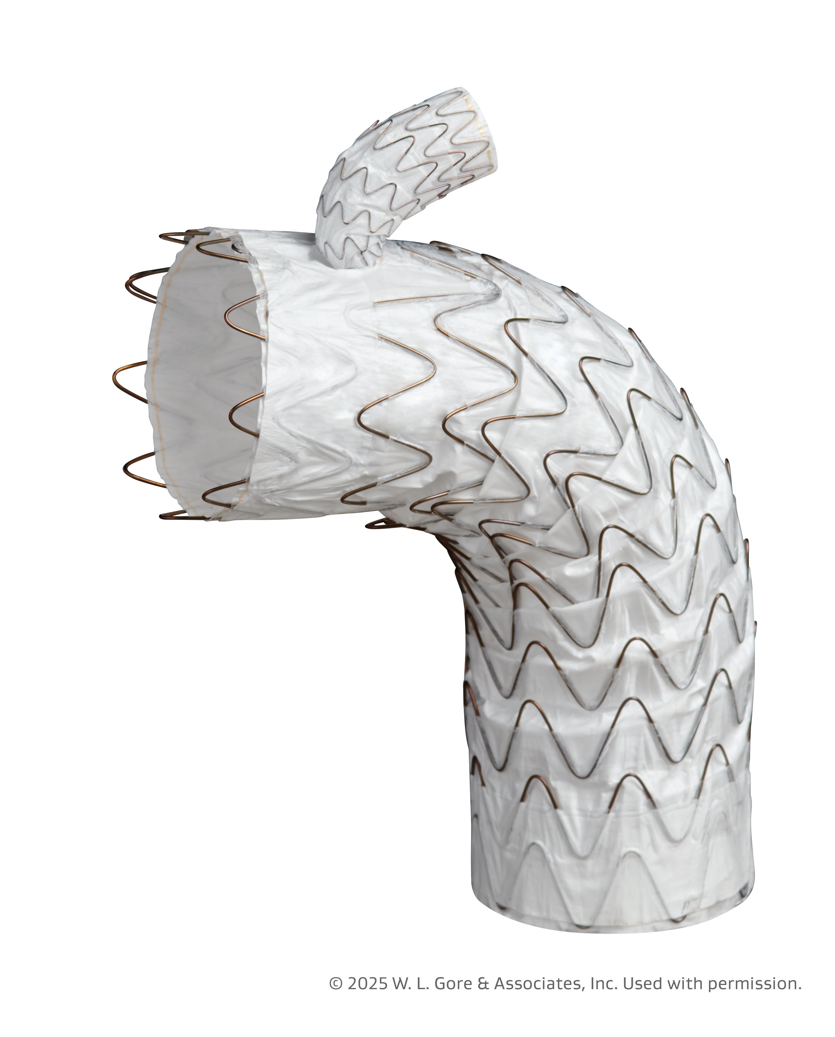 Thoracic Branch Endoprosthesis