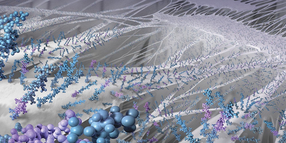 ゴア® バイアバーン® VBX バルーン拡張型ステントグラフトの特徴: CBAS® Heparin Surface