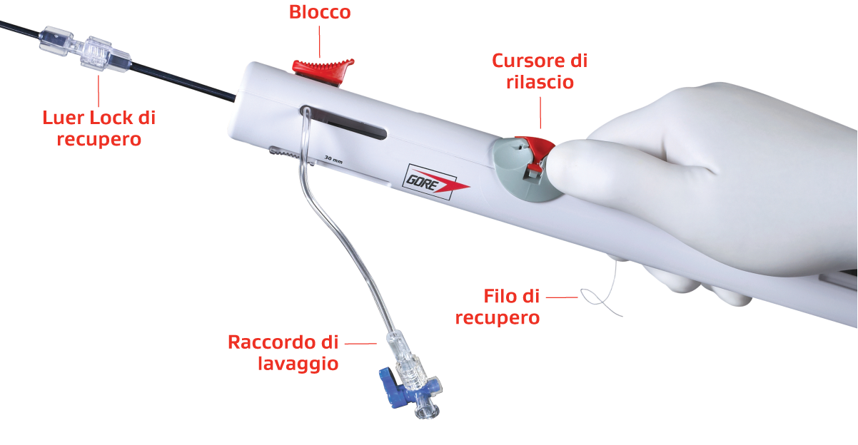 Foto dell'impugnatura