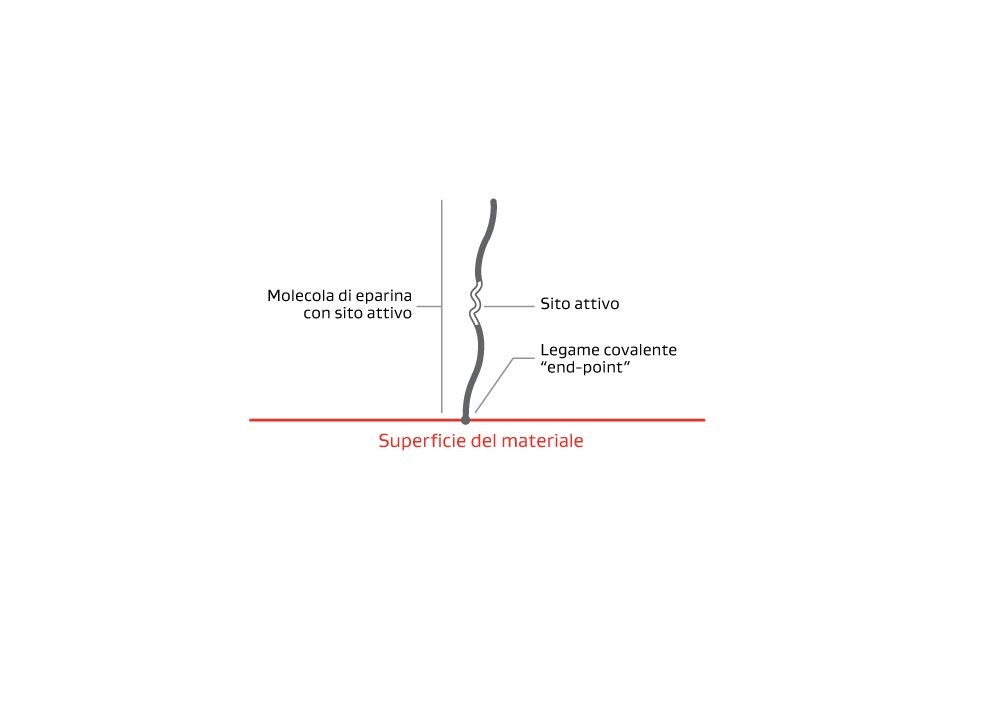 Immagine che delinea il legame covalente “end-point” brevettato