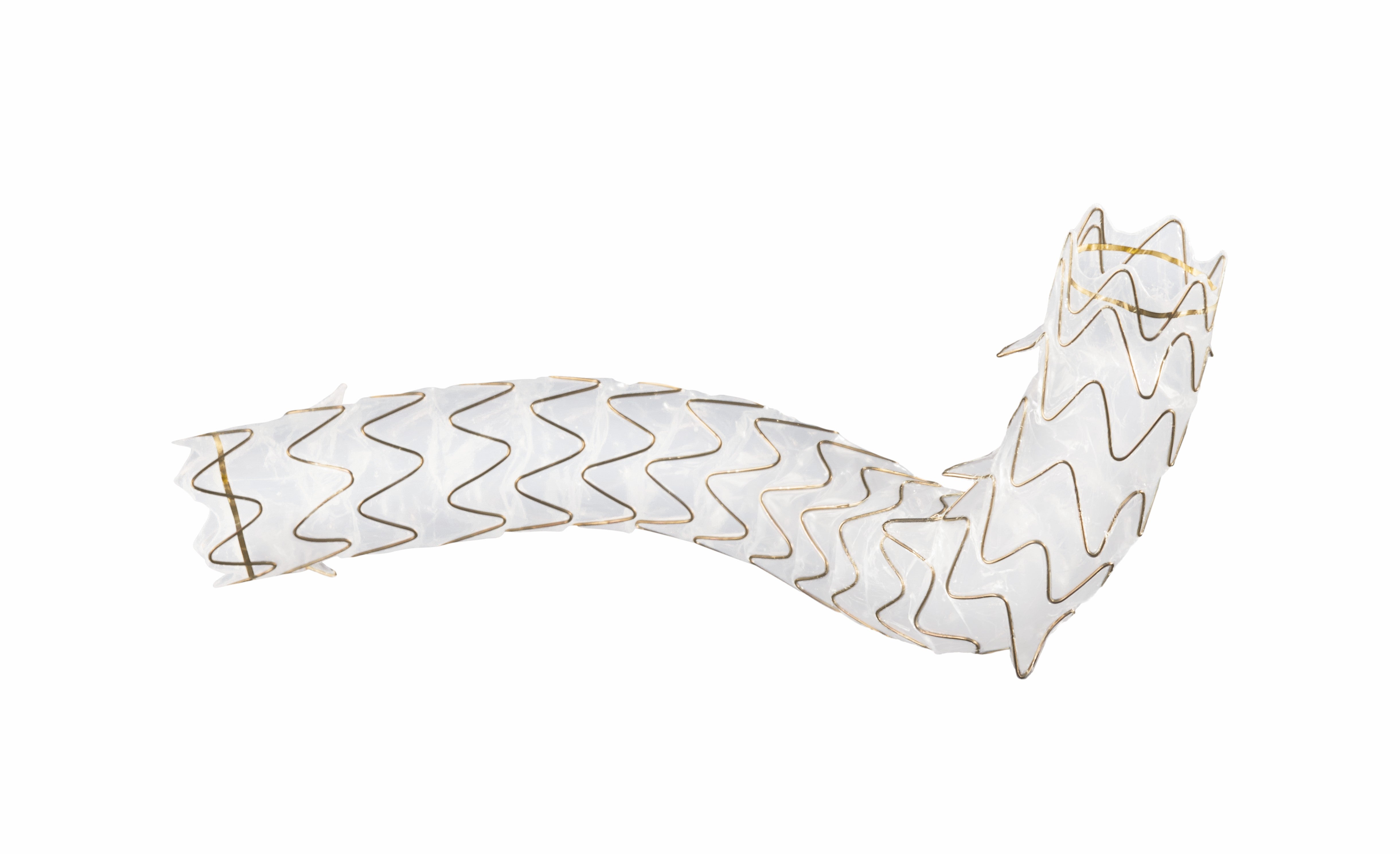 GORE VIABIL Biliary Endoprosthesis for Endoscopic Placement