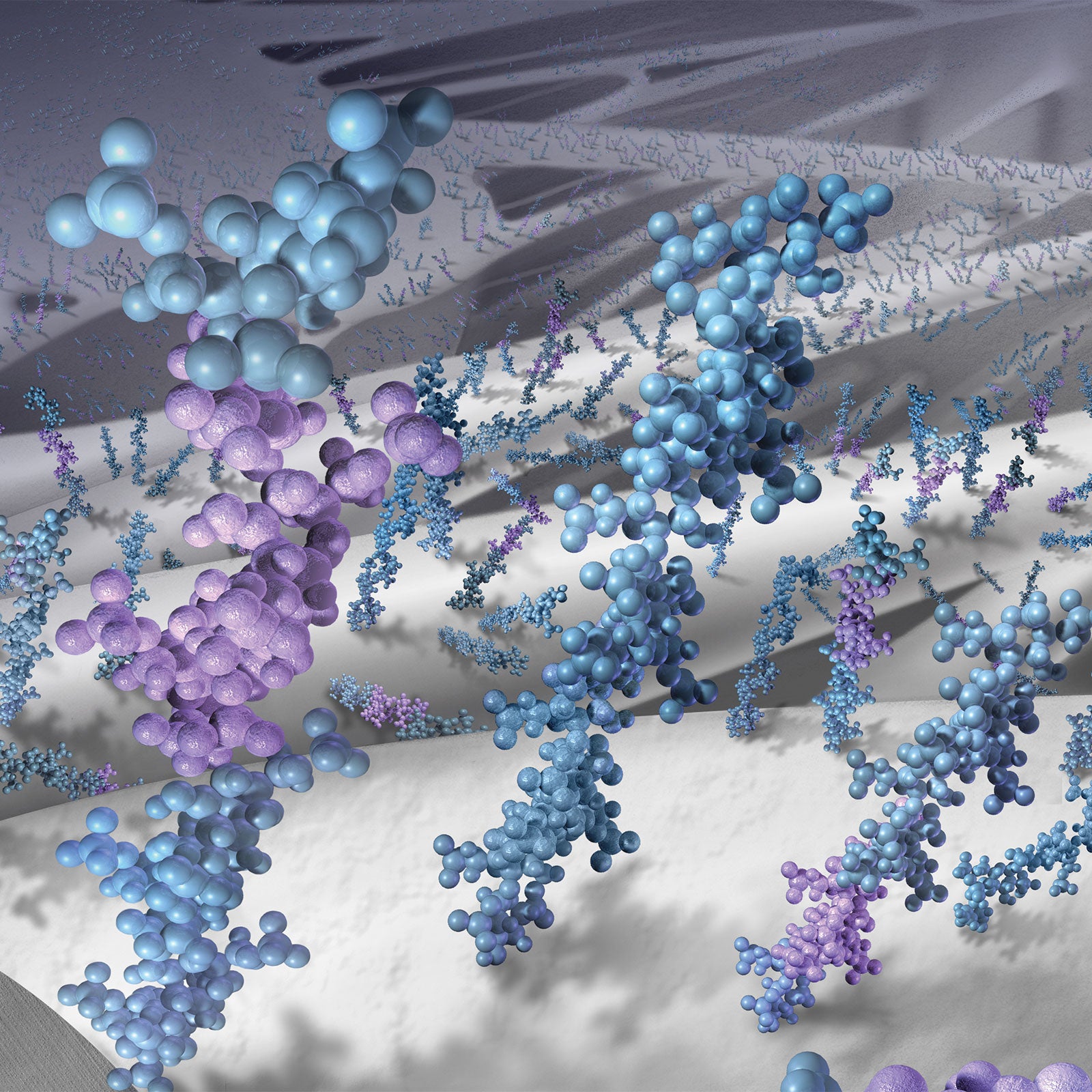 CBAS® Heparin Surfaceの抗血栓性