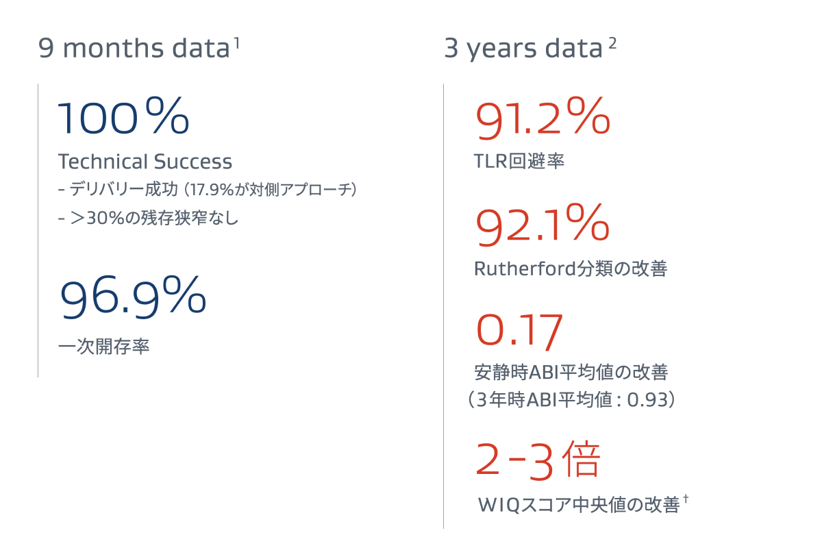 腸骨動脈閉塞性疾患治療における9か月および3年次成績