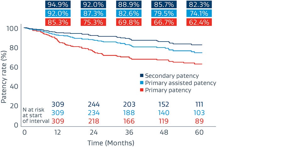 浅大腿動脈疾患 国内市販後調査: 臨床試験の主な結果 5年時開存率