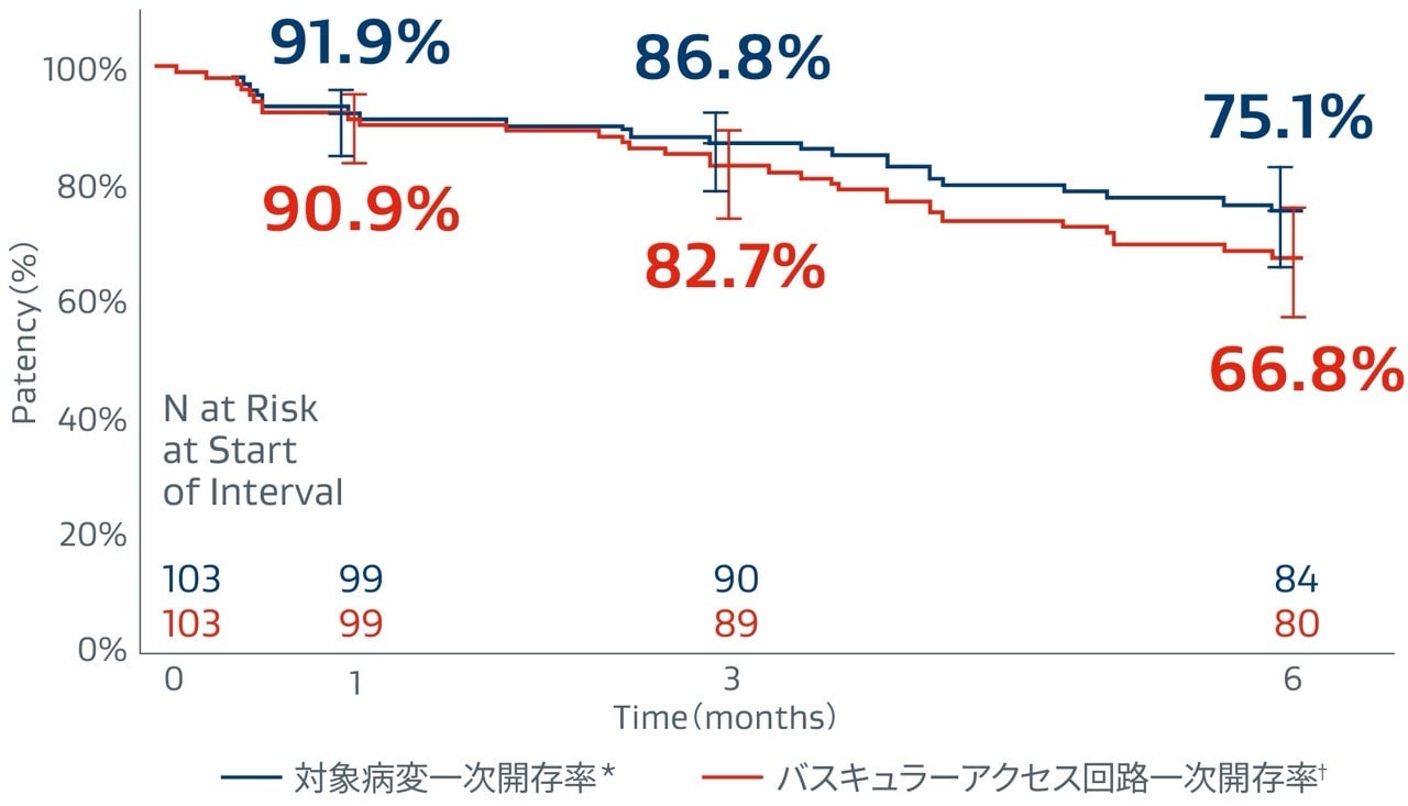 人工血管内シャント吻合部狭窄-国内市販後調査: 6か月一次開存率 