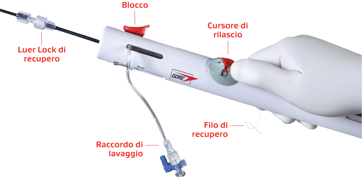 Foto dell'impugnatura