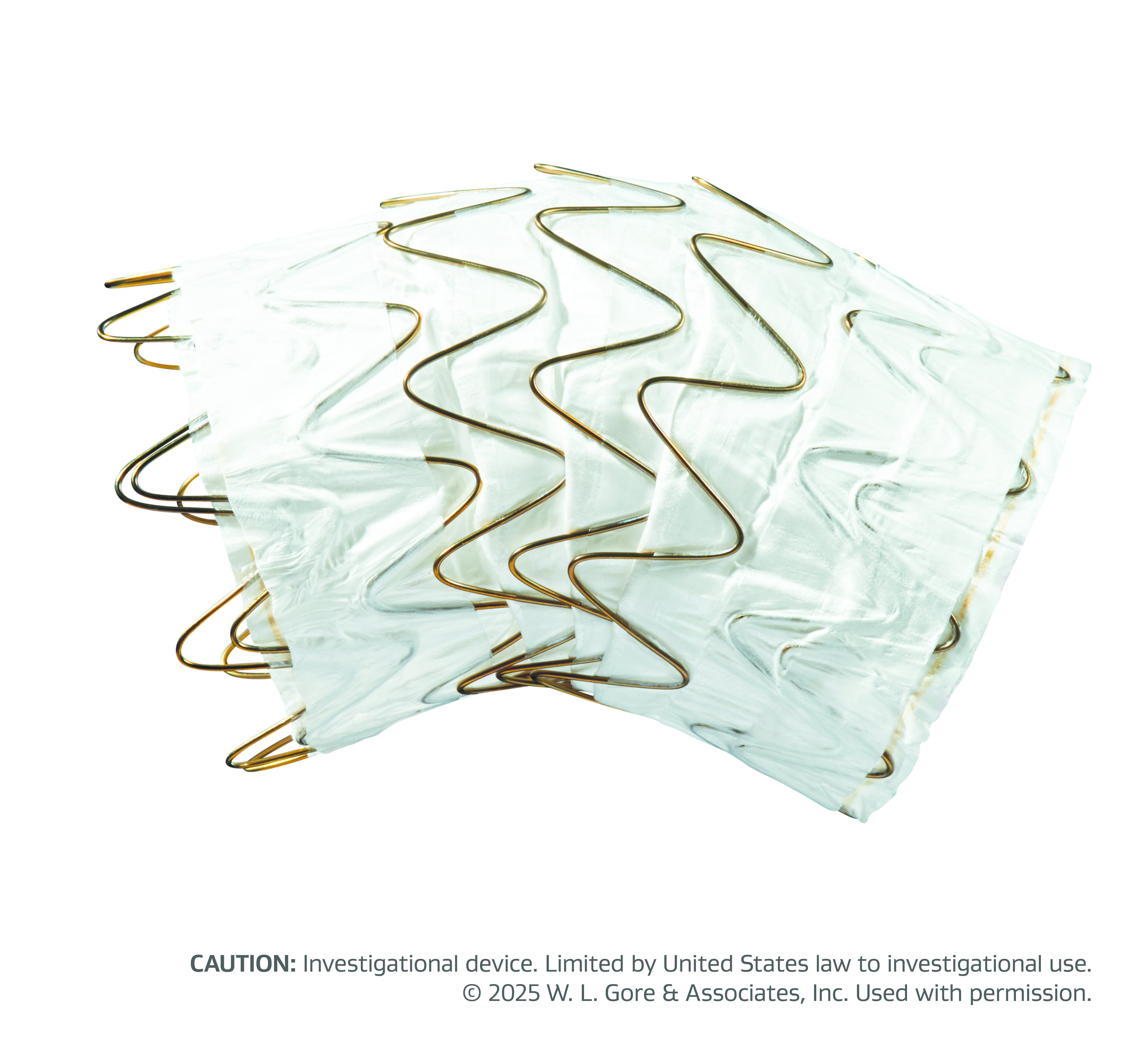 GORE® Ascending Stent Graft