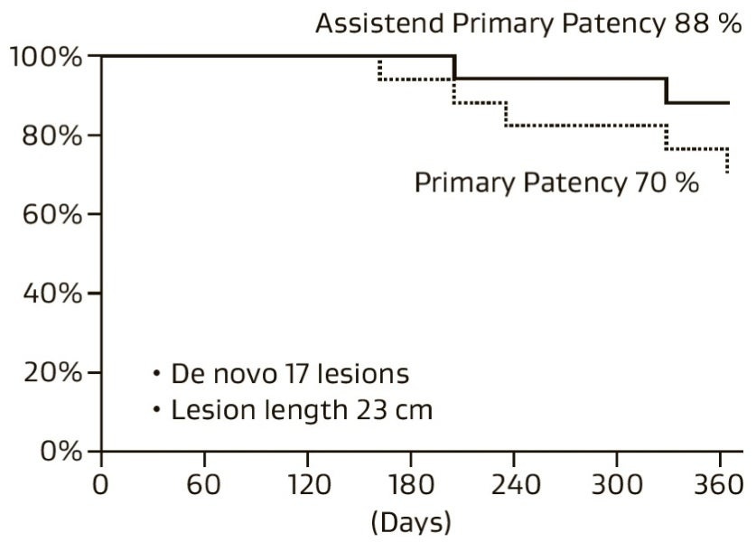 図7 当院におけるDe novo 病変に対するバイアバーン® ステントグラフトの臨床成績（N=17, データ収集期間2017年7月～2018年12月）