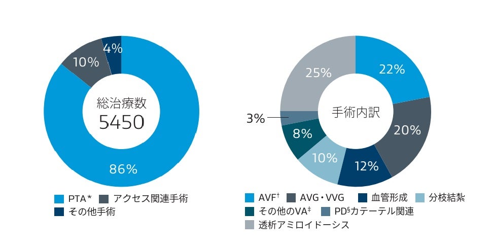 図1 2022年のバスキュラーアクセスに対する治療実績
