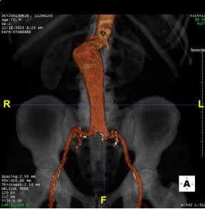 Case study image