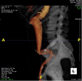 Case study image 2