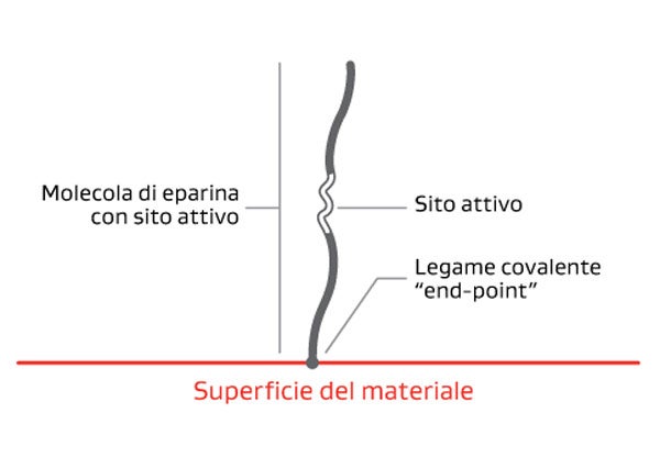 Diagram showing a heparin molecule attached vertically to a material surface. The bottom of the molecule is covalently bonded to the surface at an “end-point,” labeled “Legame covalente ‘end-point’.” The molecule extends upward from the red line labeled “Superficie del materiale,” with a highlighted region labeled “Sito attivo” indicating the active site on the heparin chain. The left side label reads “Molecola di eparina con sito attivo,” identifying the heparin molecule with its active site.