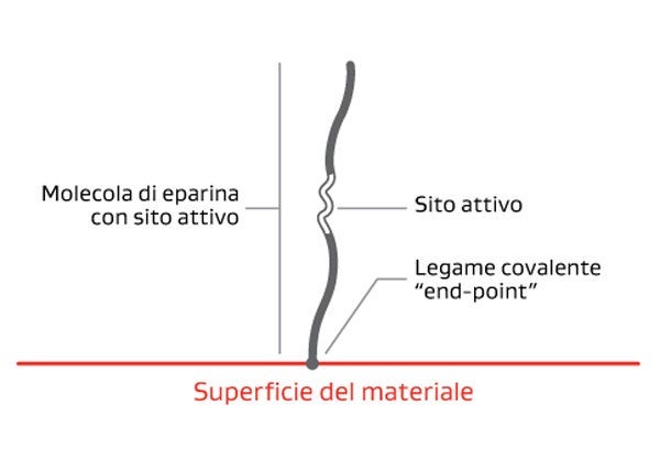 Diagram showing a heparin molecule attached vertically to a material surface. The bottom of the molecule is covalently bonded to the surface at an “end-point,” labeled “Legame covalente ‘end-point’.” The molecule extends upward from the red line labeled “Superficie del materiale,” with a highlighted region labeled “Sito attivo” indicating the active site on the heparin chain. The left side label reads “Molecola di eparina con sito attivo,” identifying the heparin molecule with its active site.
