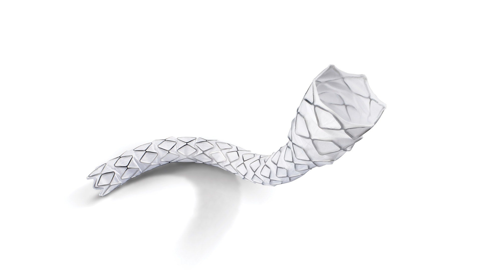A flared VBX Stent Graft for endovascular aortic repair procedures. 