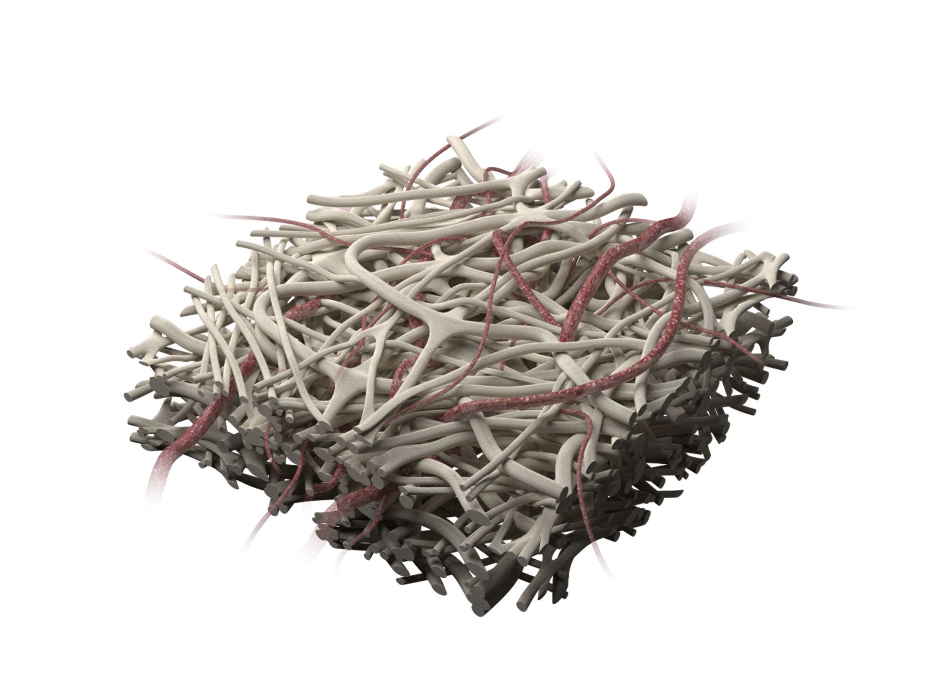 Close-up 3D illustration of an extracellular matrix scaffold showing a dense network of interwoven light-colored fibers with embedded red strands, highlighting the porous structure that supports tissue integration and vascular ingrowth.