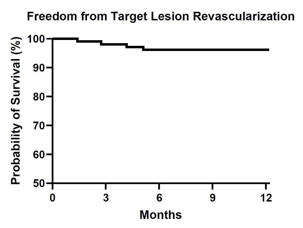 Graph showing freedom from target lesion revascularization remaining above 95% through 12 months.