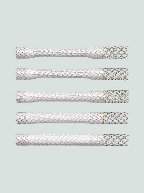 Comparison image showing five covered stent grafts with uncovered metal mesh extensions, each illustrating a different expansion diameter. The devices are displayed horizontally, demonstrating progressive increases in lumen size.