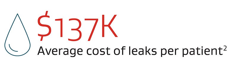 Chart showing the average cost of leaks per patient