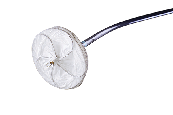 Image of GORE® CARDIOFORM Septal Occluder device