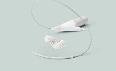  GORE®TAG®Conformable Thoracic Stent Graft with ACTIVE CONTROL System