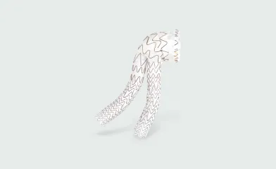 aortic excluder conformable