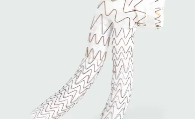 大動脈領域 エクスクルーダー コンフォーマブル 