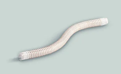 末梢血管領域 バイアバーン