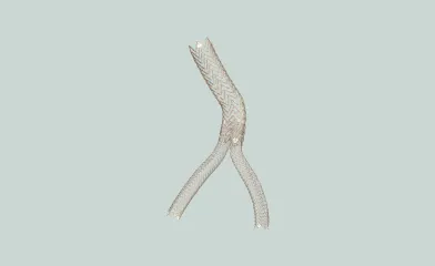 A product closeup of the GORE® VIABAHN® FORTEGRA Venous Stent