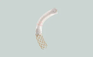 Product shot of GORE® VIATORR® TIPS Endoprosthesis with Controlled Expansion