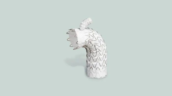 GORE® EXCLUDER® AAA Endoprosthesis aortic aneurysm device