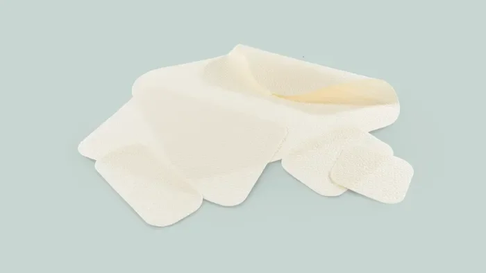 GORE® ENFORM Biomaterial